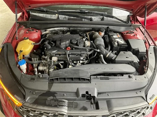 Elder Mitsubishi Killeen