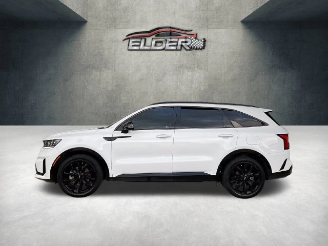 Elder Mitsubishi