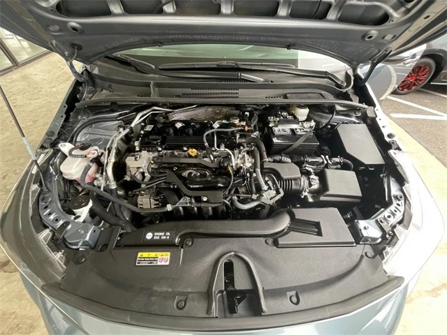 Elder Mitsubishi Killeen