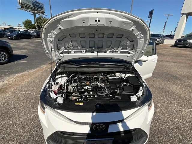 Elder Mitsubishi Killeen