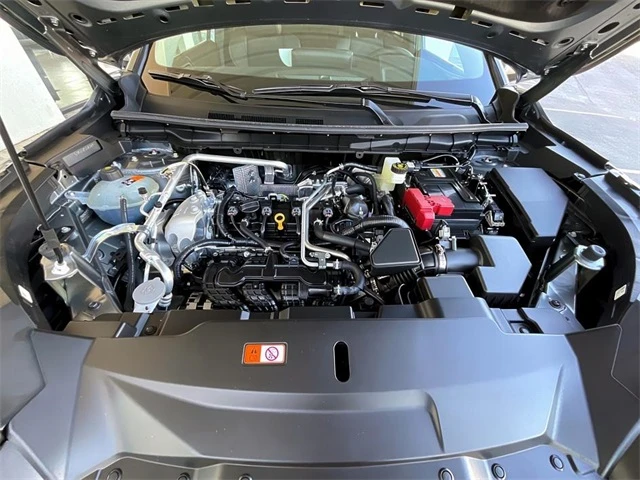 Elder Mitsubishi Killeen