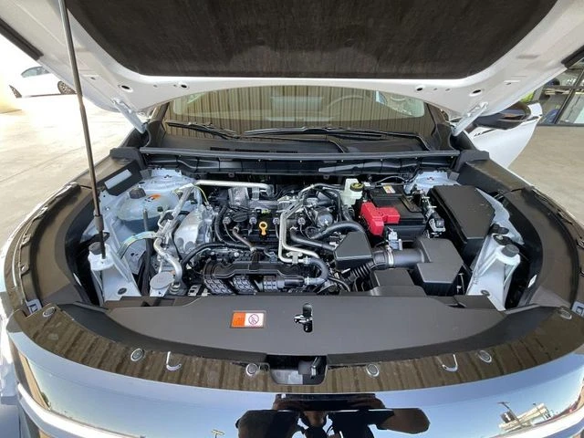 Elder Mitsubishi Killeen