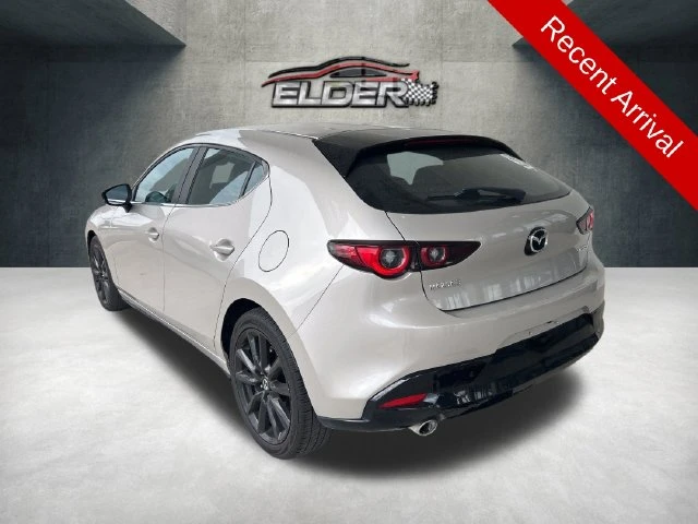Elder Mitsubishi
