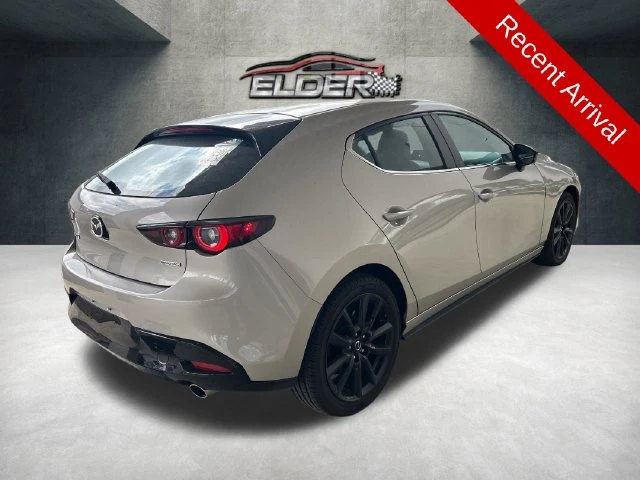Elder Mitsubishi