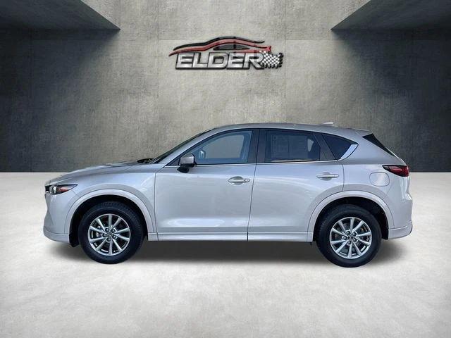 Elder Mitsubishi