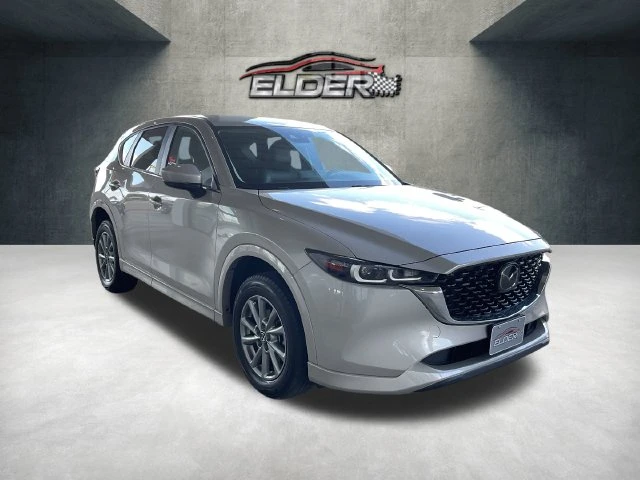 Elder Mitsubishi