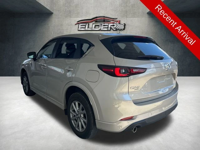 Elder Mitsubishi