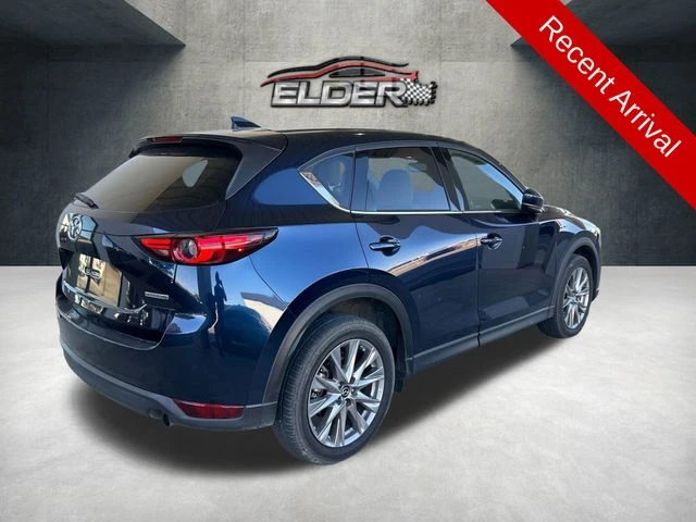 Elder Mitsubishi