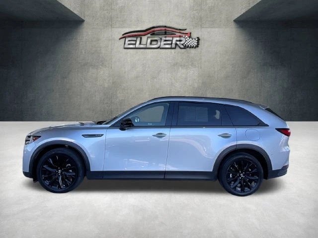 Elder Mitsubishi