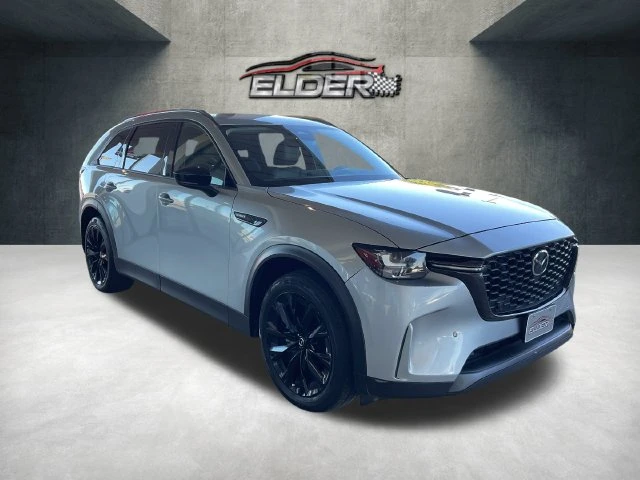 Elder Mitsubishi