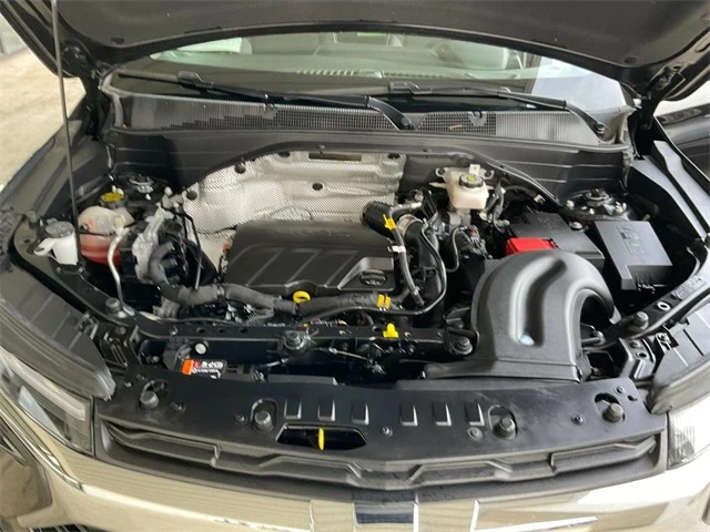 Elder Mitsubishi Killeen