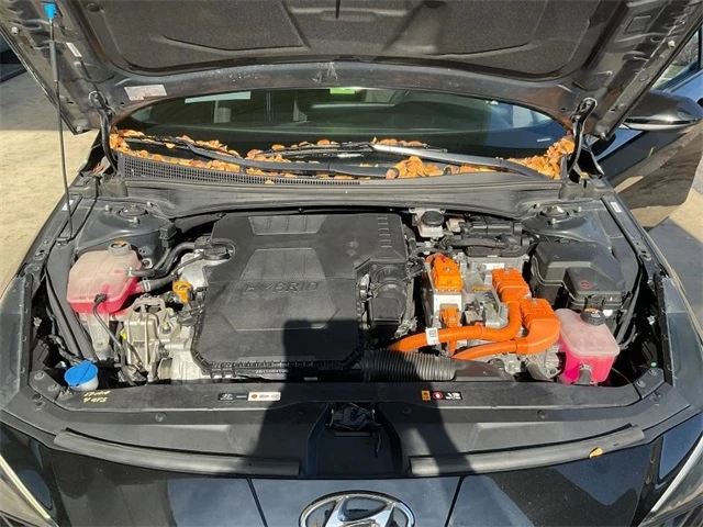 Elder Mitsubishi Killeen