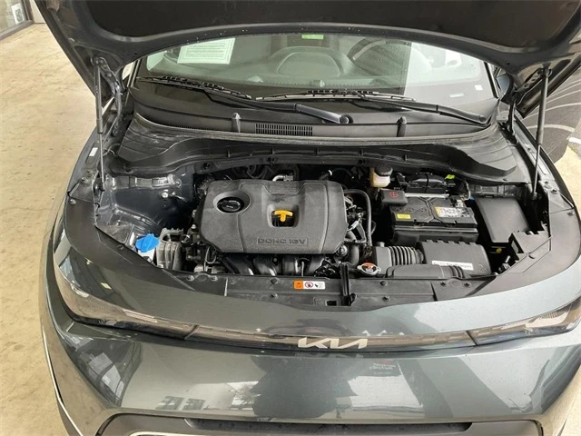 Elder Mitsubishi Killeen