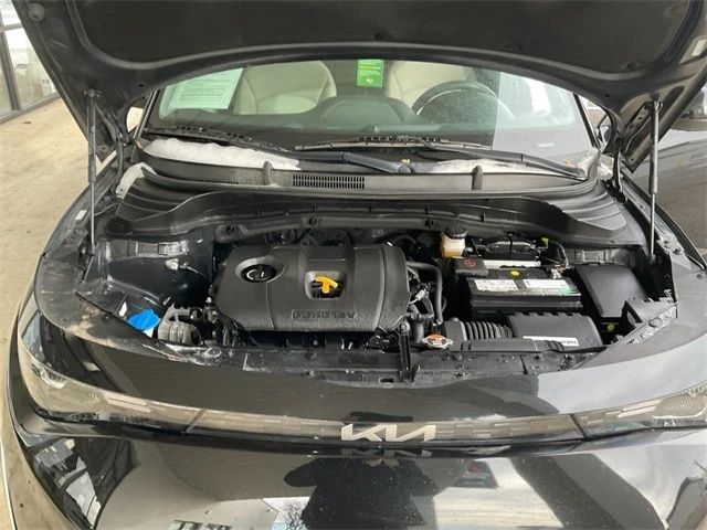 Elder Mitsubishi Killeen