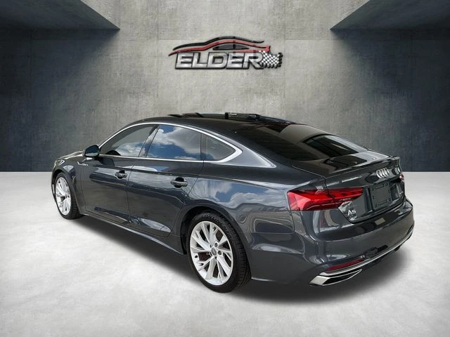 Elder Mitsubishi