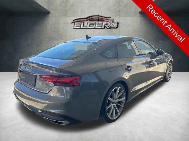 Elder Mitsubishi