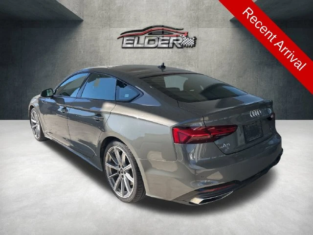 Elder Mitsubishi