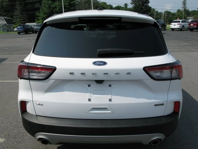 Fogg's Automotive