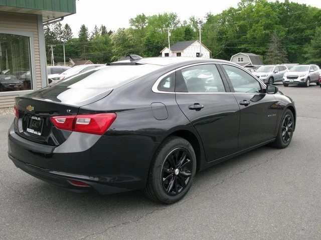 Fogg's Automotive