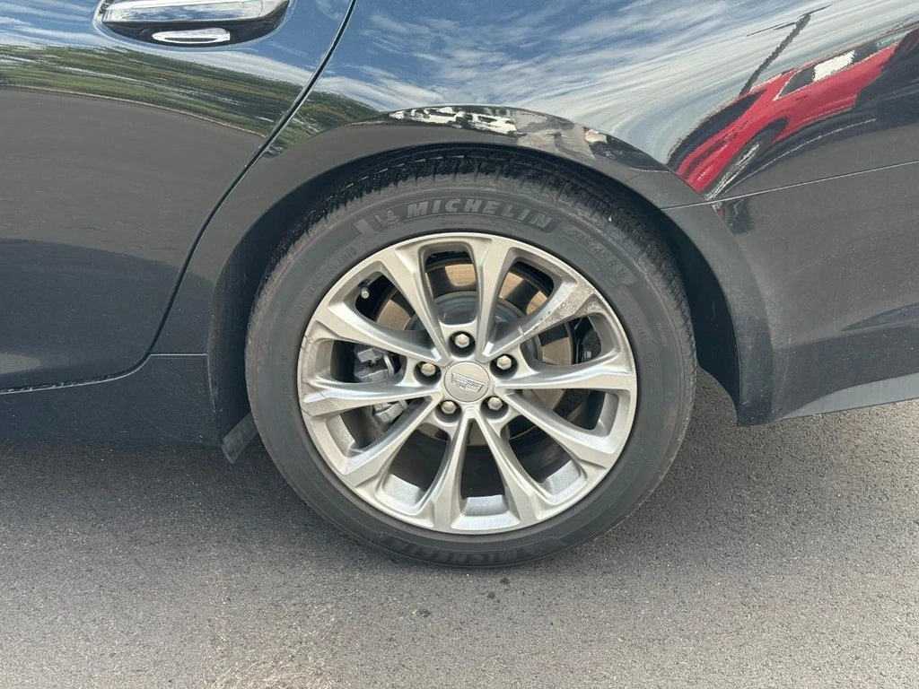 Auto Loan Pro
