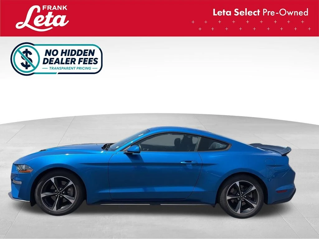 Auto Loan Pro