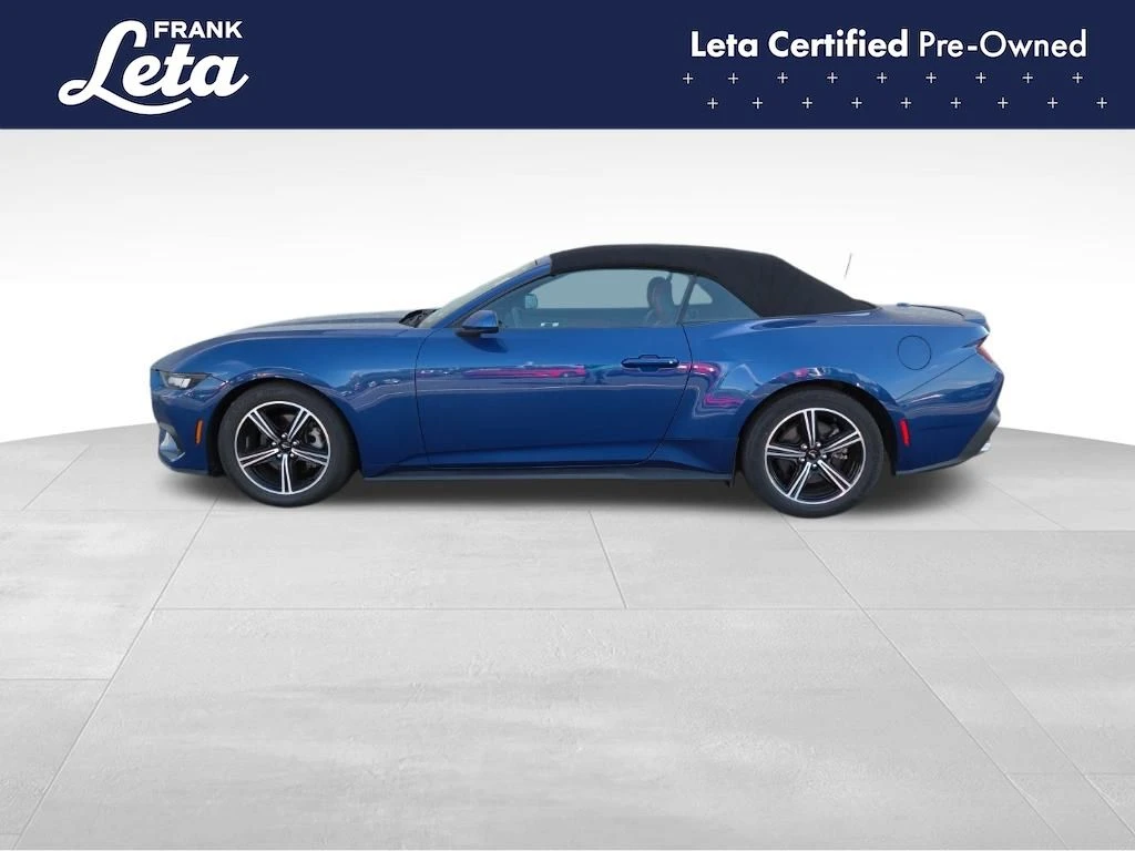 Auto Loan Pro