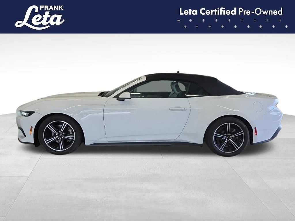 Frank Leta Automotive Outlet