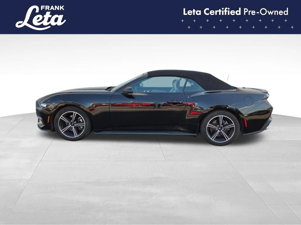 Auto Loan Pro