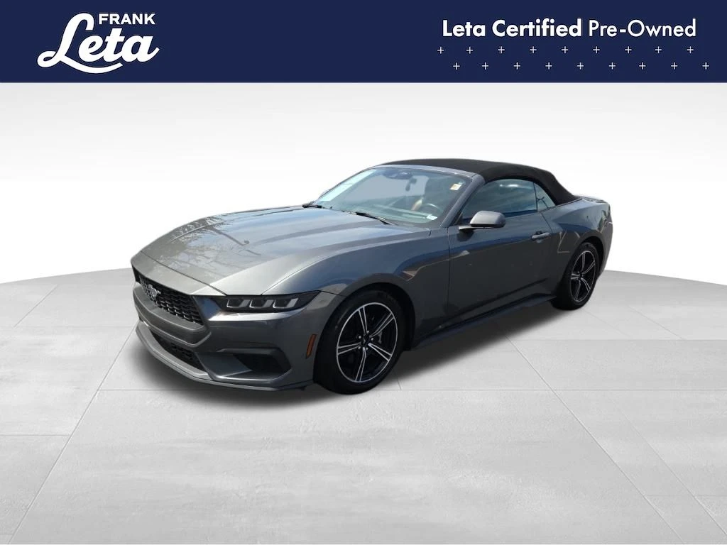 Auto Loan Pro
