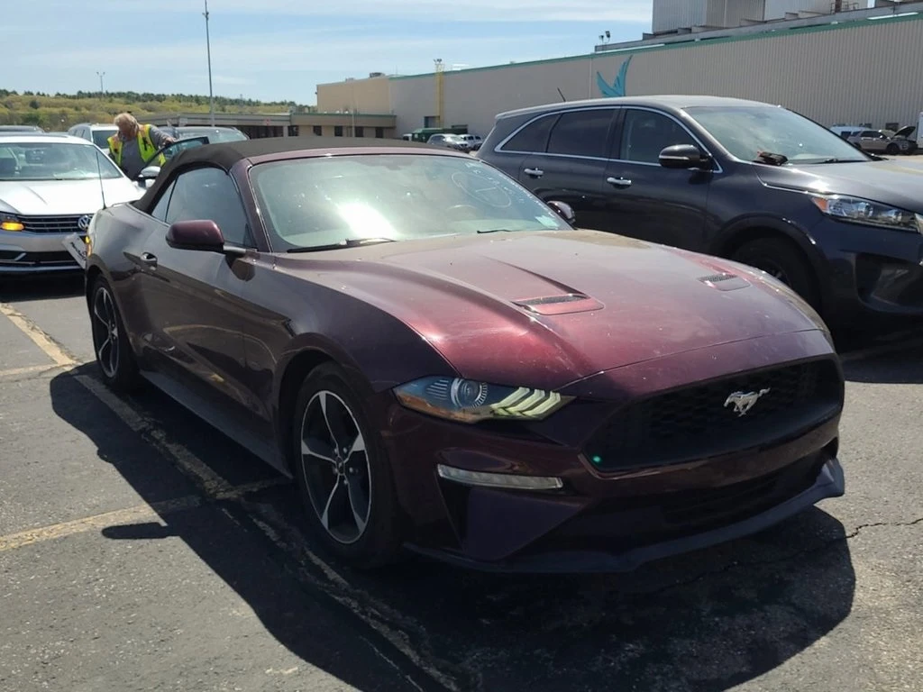 Frank Leta Automotive Outlet