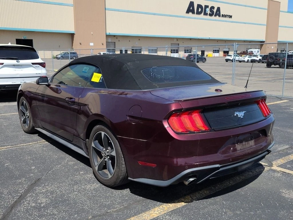 Frank Leta Automotive Outlet