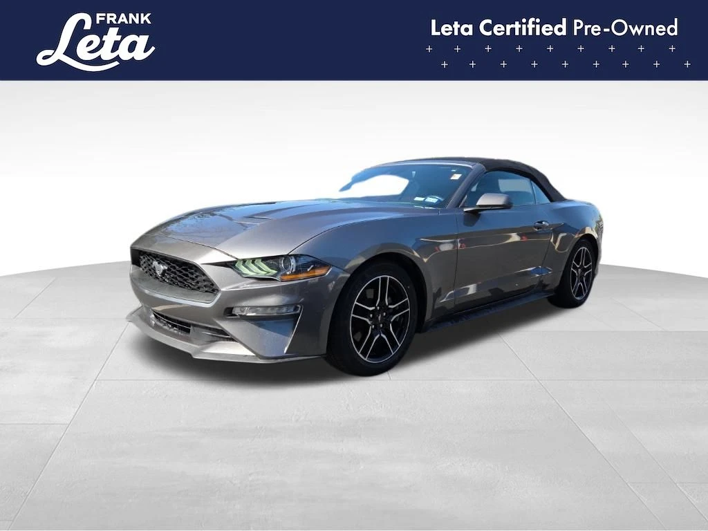 Auto Loan Pro