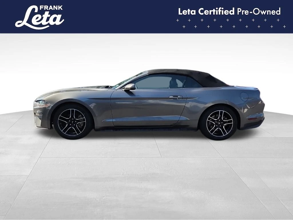 Auto Loan Pro
