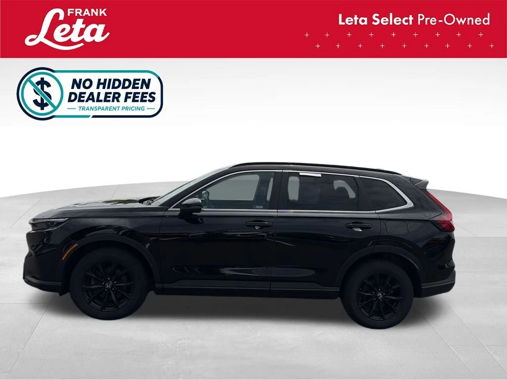 Frank Leta Automotive Outlet