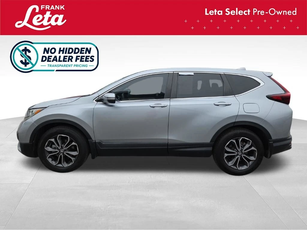 Frank Leta Automotive Outlet