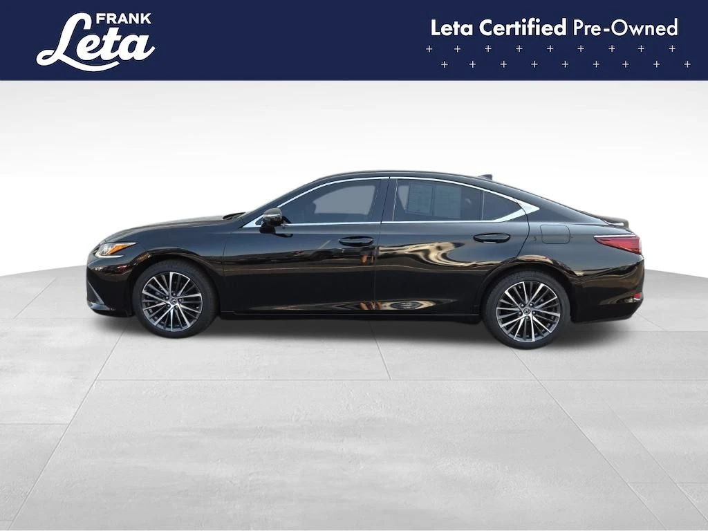 Frank Leta Automotive Outlet