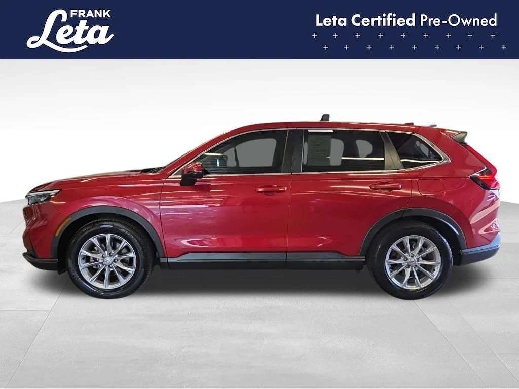 Frank Leta Automotive Outlet