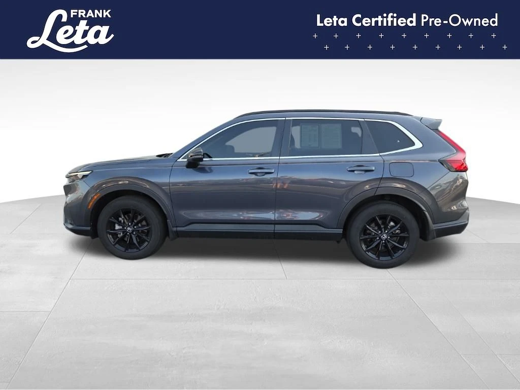 Frank Leta Automotive Outlet