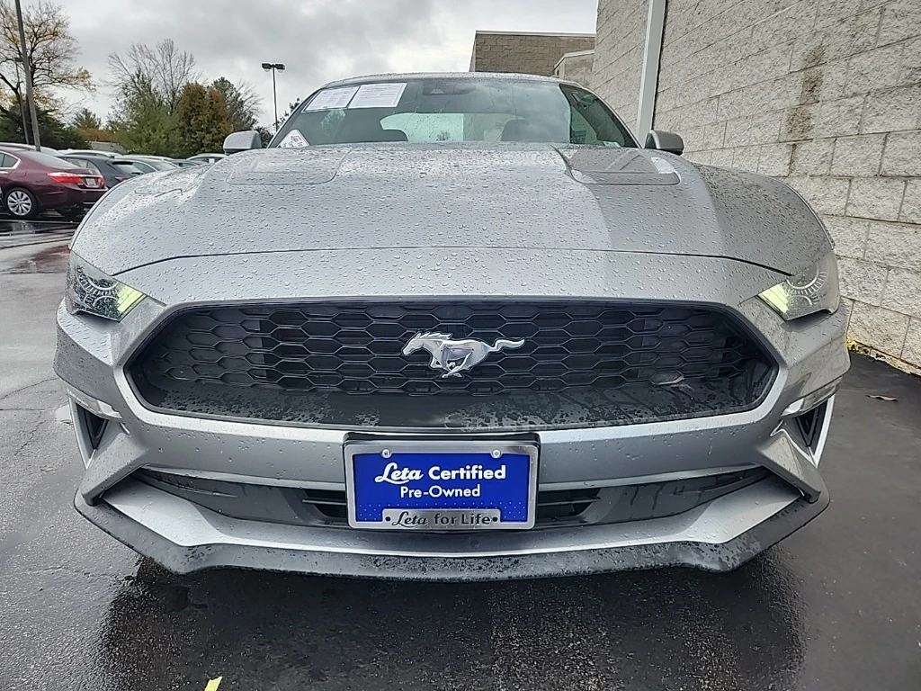 Auto Loan Pro