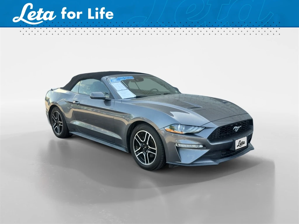 Auto Loan Pro