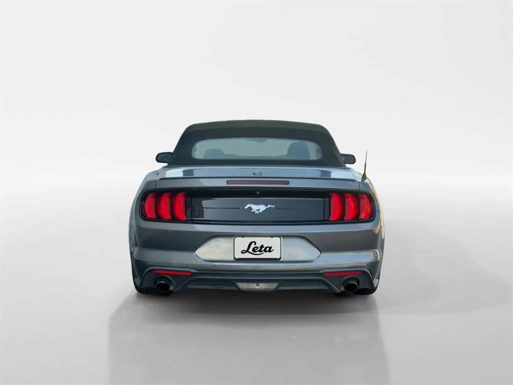 Auto Loan Pro