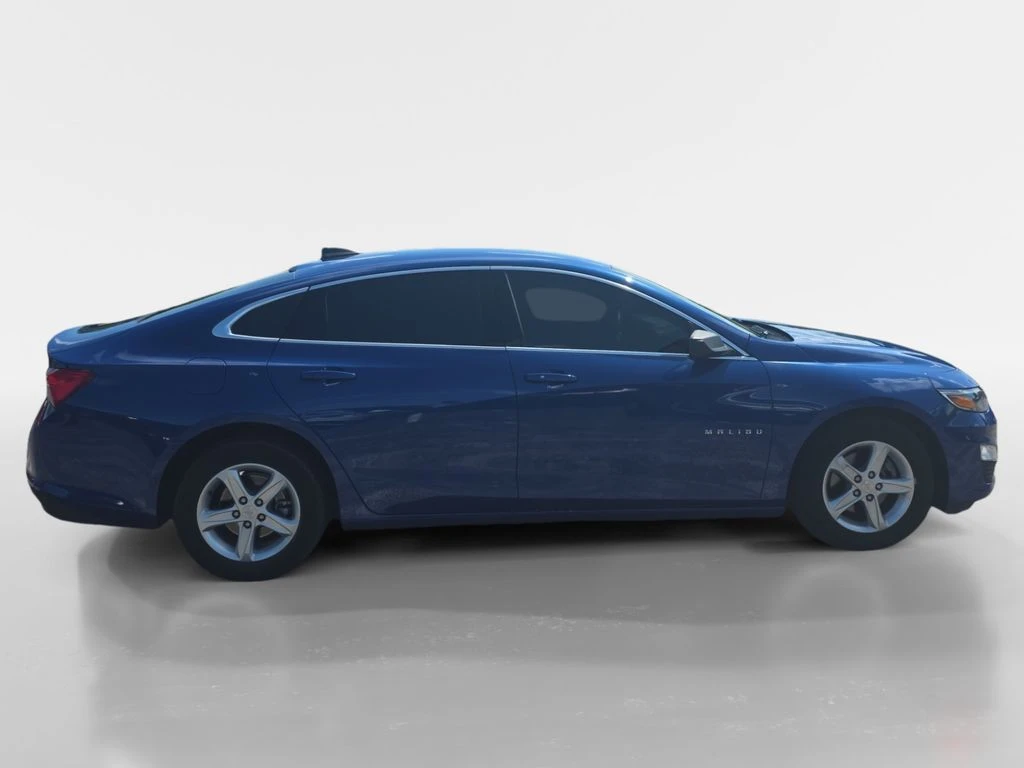 Auto Loan Pro
