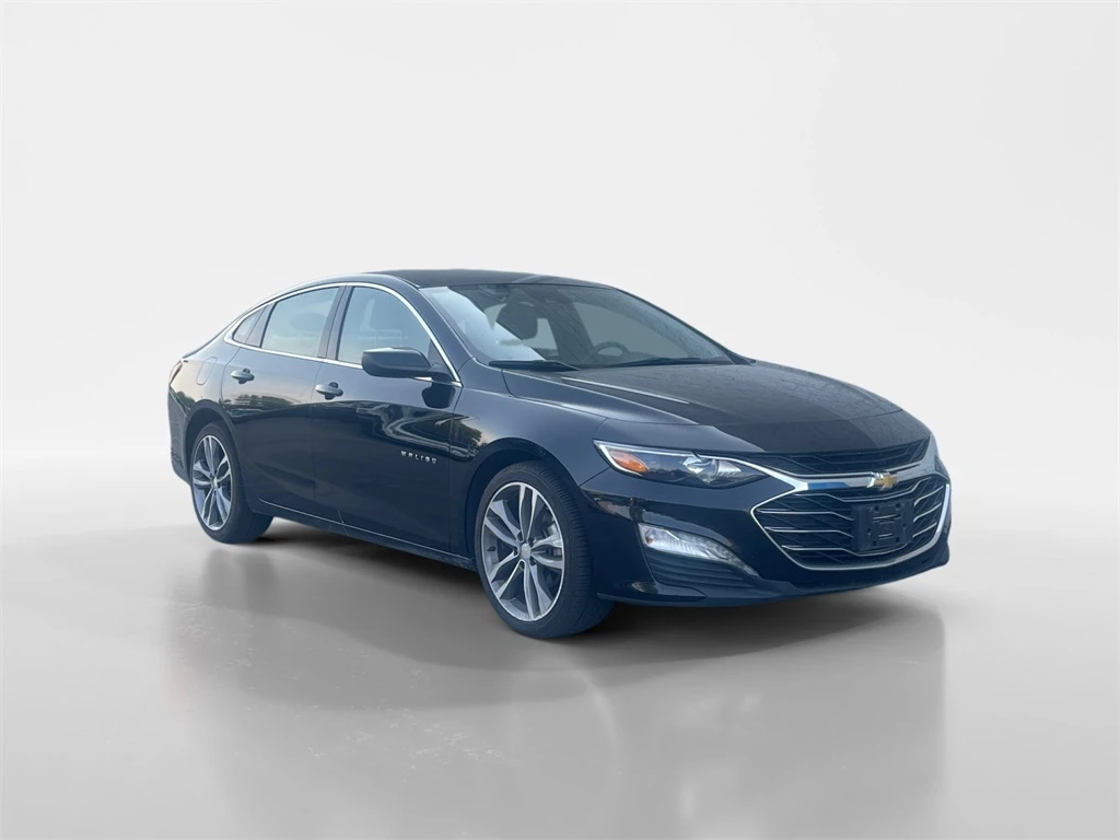 Auto Loan Pro