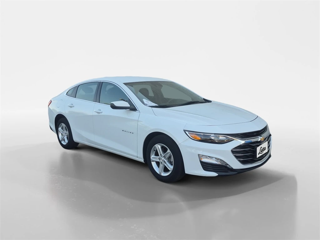 Auto Loan Pro