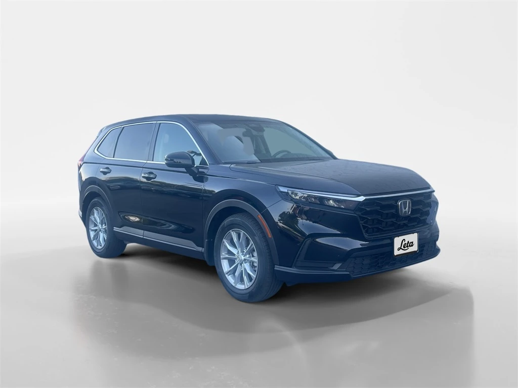 Auto Loan Pro