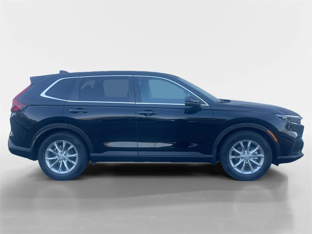 Auto Loan Pro