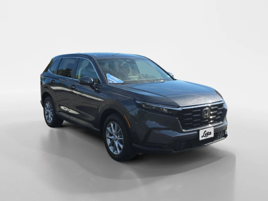 Frank Leta Automotive Outlet