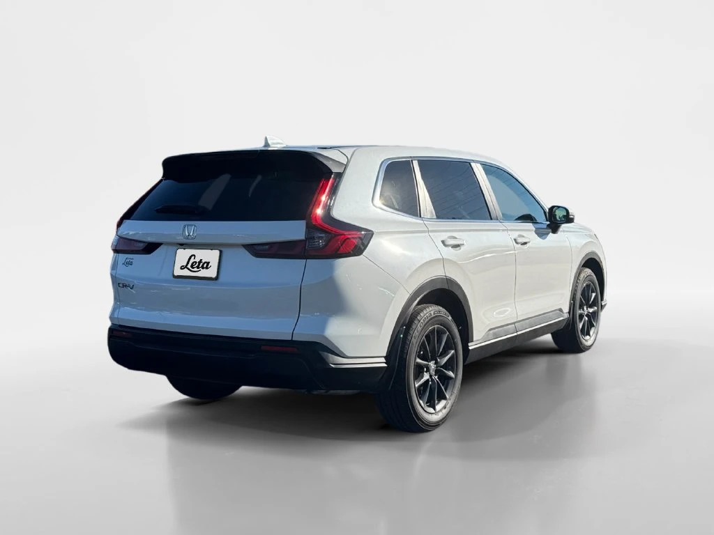 Frank Leta Automotive Outlet