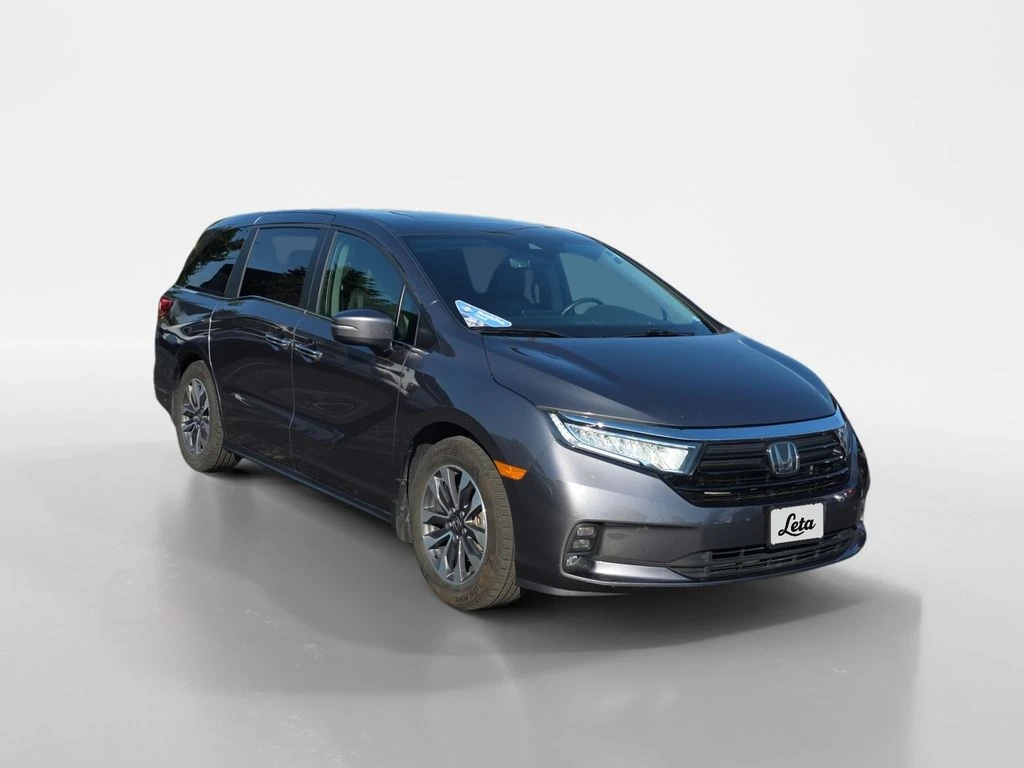 Auto Loan Pro