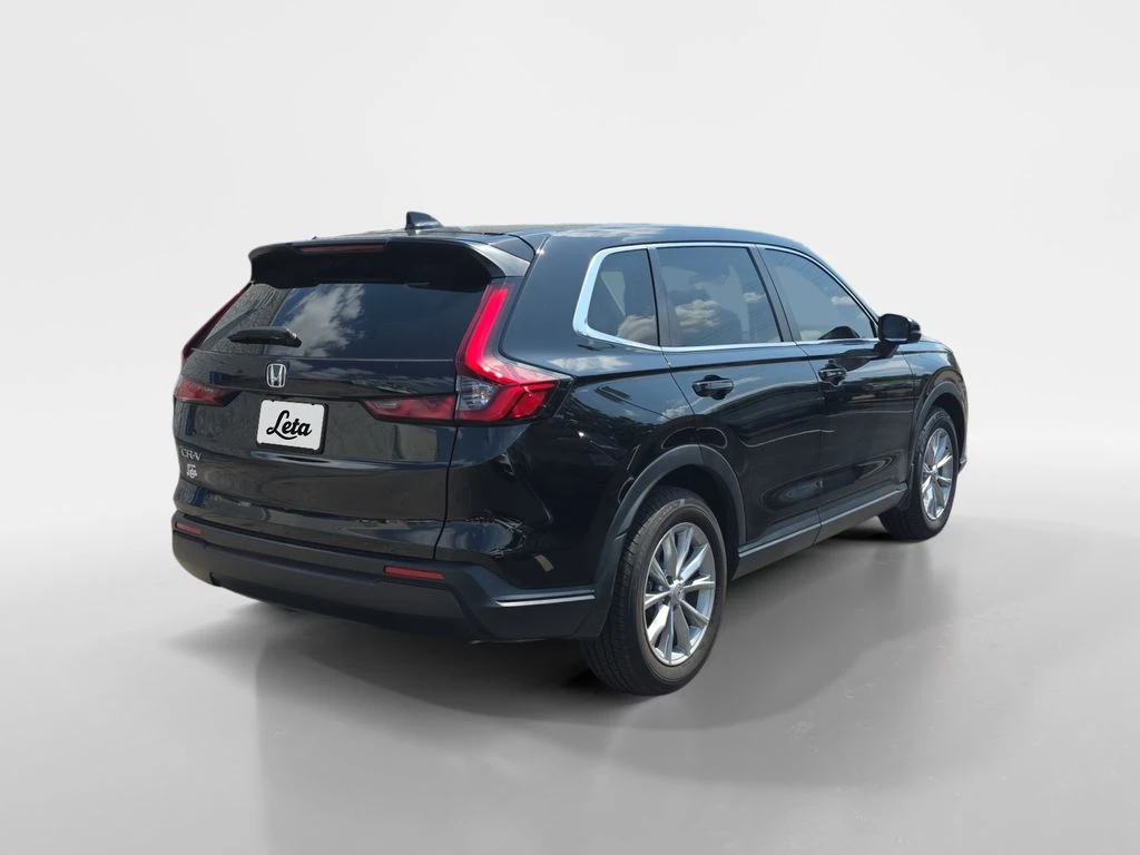 Frank Leta Automotive Outlet